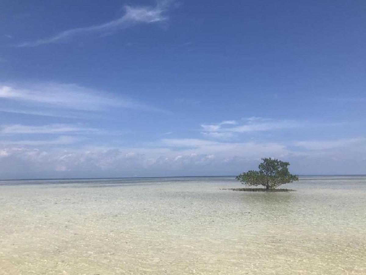 Irish Lodge Panglao Dış mekan fotoğraf
